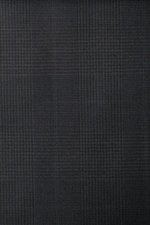 Zegna Charcoal Check 6035
