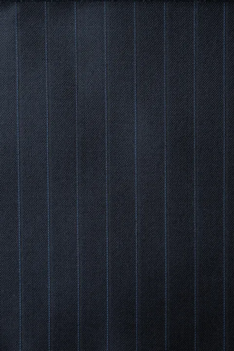 Zegna Navy Stripe 6025
