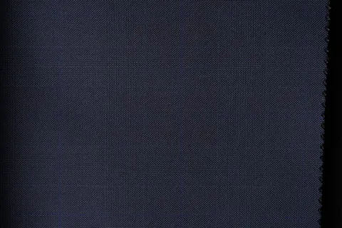 Zegna Navy Check 3007