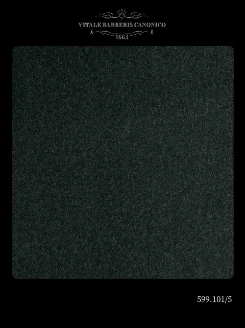 599.101/5