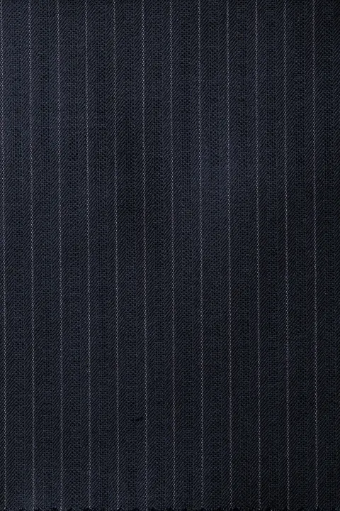 Zegna Navy Stripe 6019