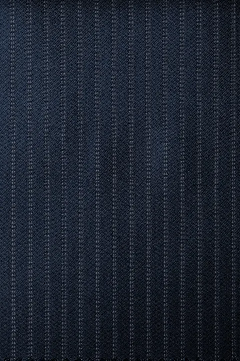 Zegna Navy Stripe 6044