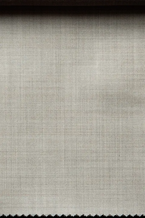 Zegna Ivory Textured 6348